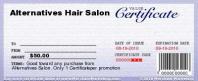  Alternatives Hair Salon - $20 Certificate - Buy for $4 